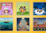 create children book illustration and children book cover